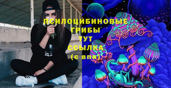 герыч Краснослободск