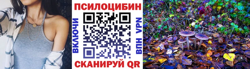 Псилоцибиновые грибы мухоморы  дарк нет официальный сайт  Семёнов 