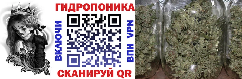 Канабис VHQ  Семёнов 